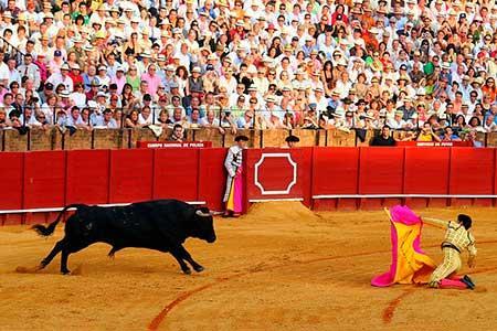 Gifsa Sevilla - Parque Alcosa المظهر الخارجي الصورة