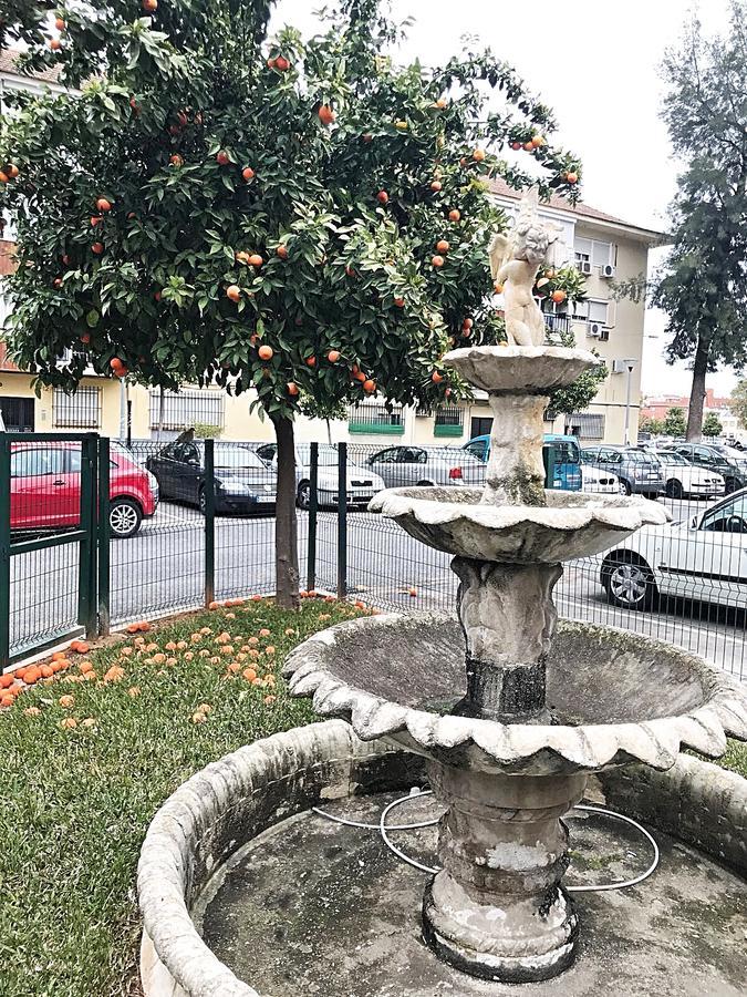 Gifsa Sevilla - Parque Alcosa المظهر الخارجي الصورة